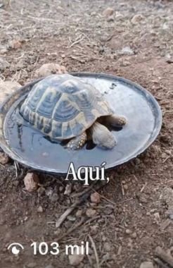 Diseño sin título (57)